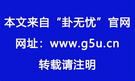 2024是火年吗|2024年的九离火大运，千年一遇的罕见天象九星 ...